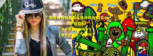 гидра Дмитров