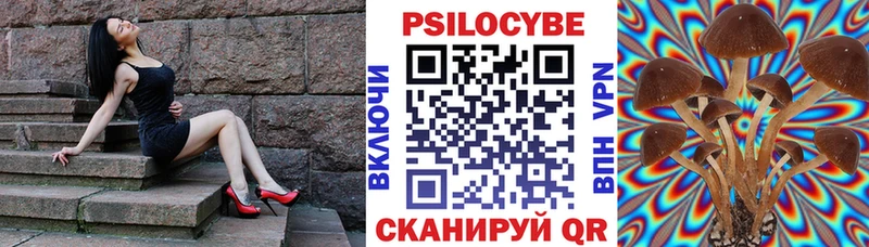 Псилоцибиновые грибы MAGIC MUSHROOMS Щигры